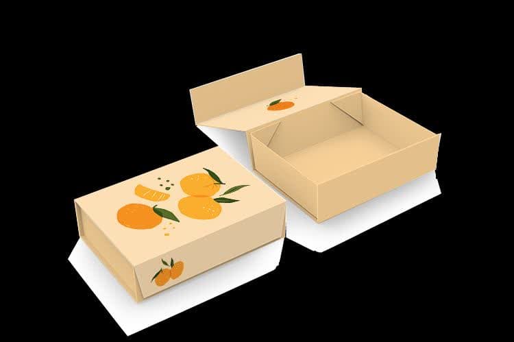 طراحی جعبه خشکبار مقوایی تاشو