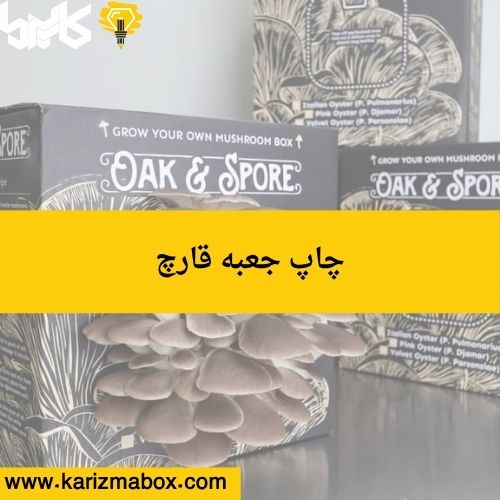 چاپ جعبه قارچ