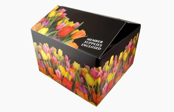 چه نوع چاپی برای کسبوکار شما مناسبتر است؟